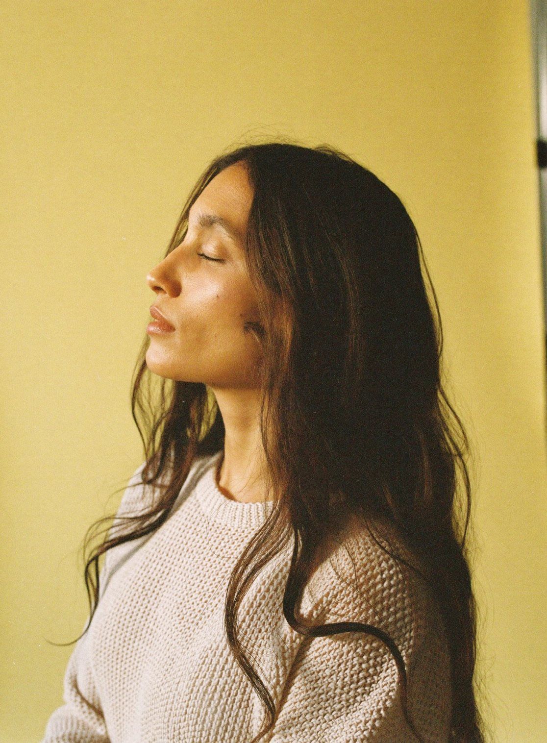 Portrait of Noor Haddad, a sample Zentu identity